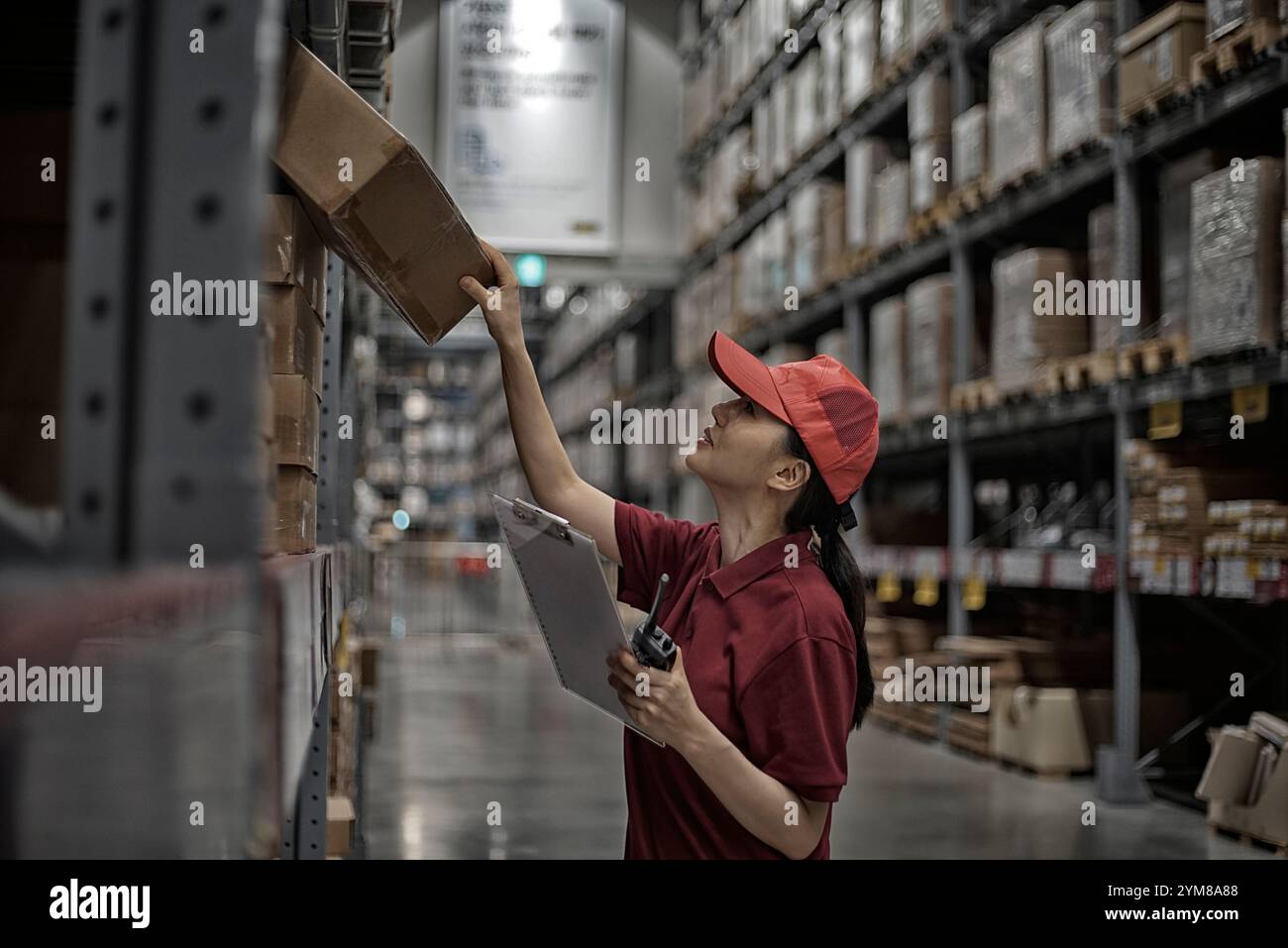 Logistics centre staff checking goods Stock Photo - Alamy