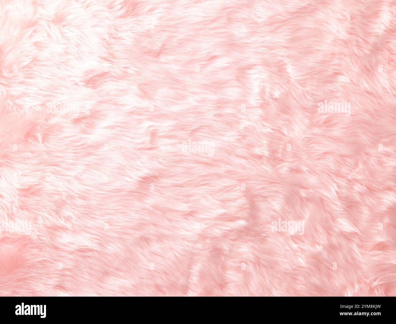 Foot rug hi-res stock photography and images - Alamy