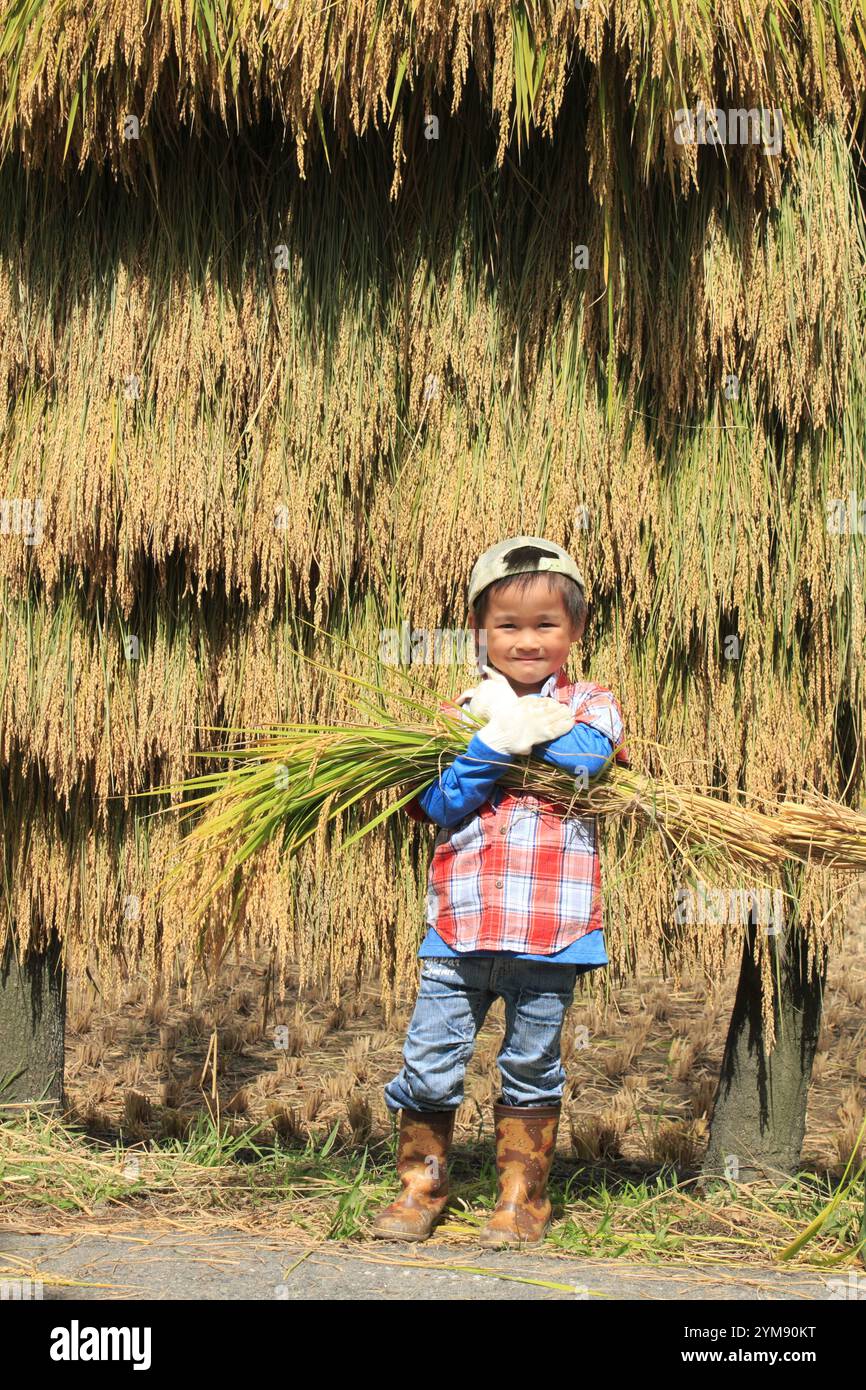 Boy holding rice Stock Photo - Alamy