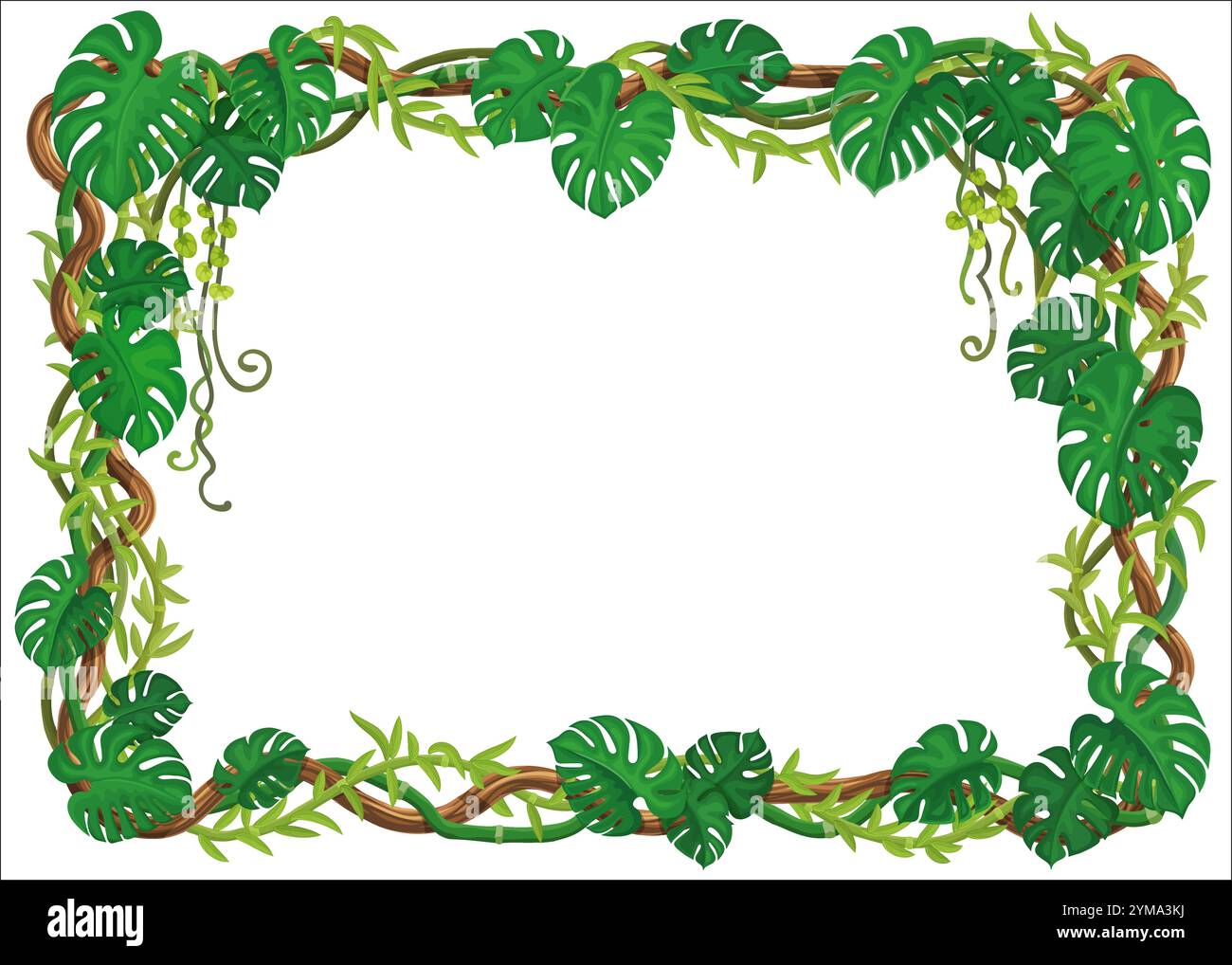 Tropical jungle forest frame with lianas and green monstera leaves ...