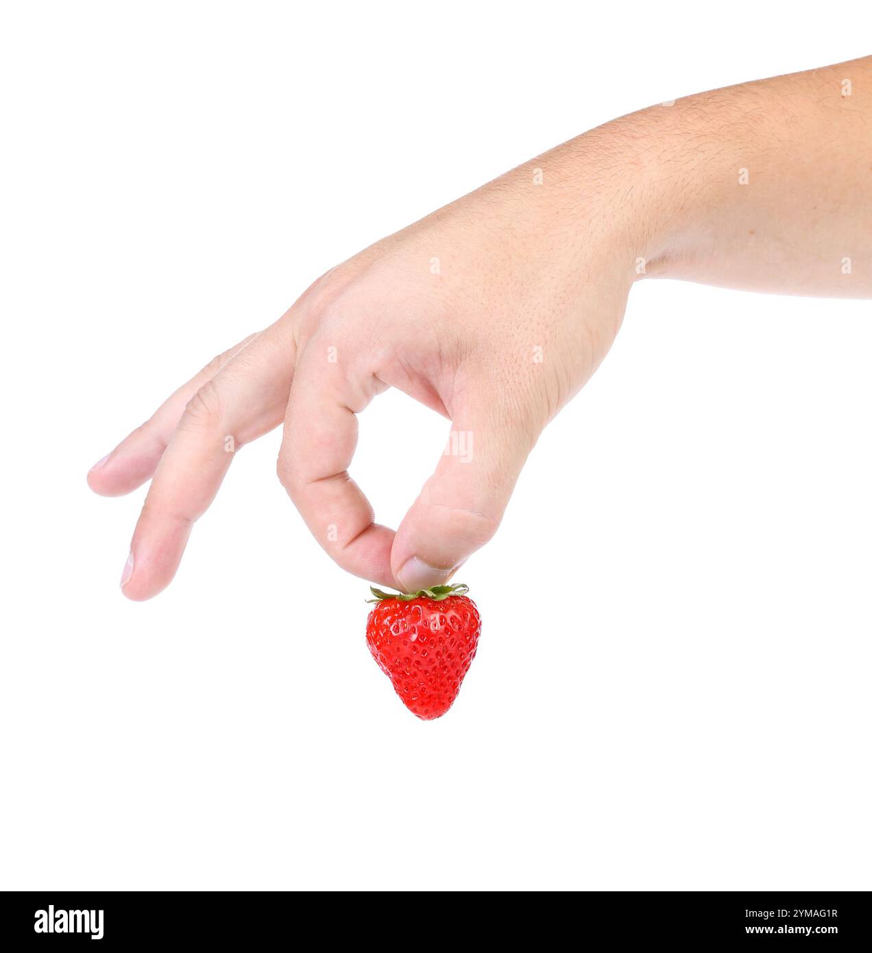 Hand holding a strawberry. Close up. White background Stock Photo - Alamy