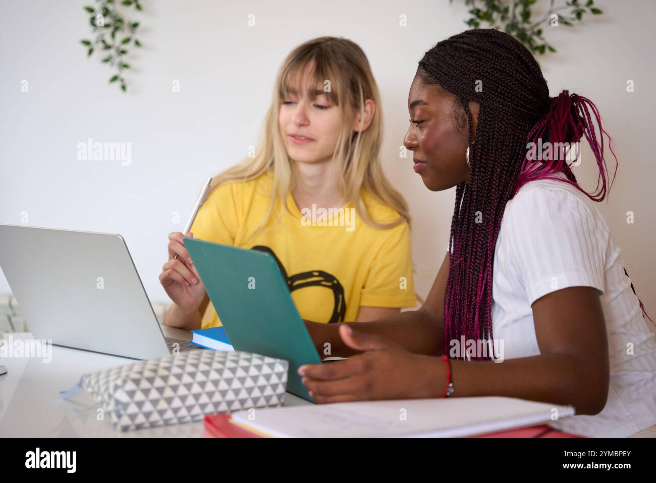 Multiethnic students collaborating on project using laptop and tablet Stock Photo