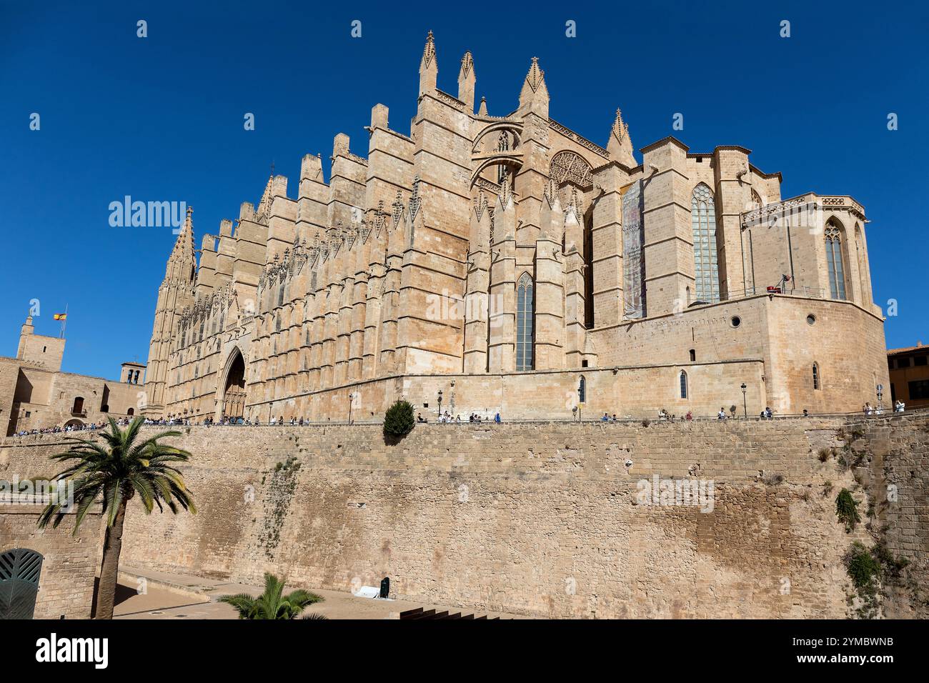 General View Of The Cathedral Basilica De Santa Maria De Mallorca In general-view-of-the-cathedral-basilica-de-santa-maria-de-mallorca-in