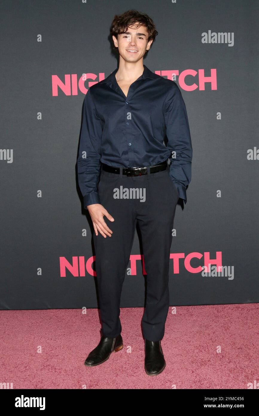 Ca. 20th Nov, 2024. Charlie Besso at arrivals for NIGHTBITCH Premiere, Linwood Dunn Theater, Los Angeles, CA, November 20, 2024. Credit: Priscilla Grant/Everett Collection/Alamy Live News Stock Photo