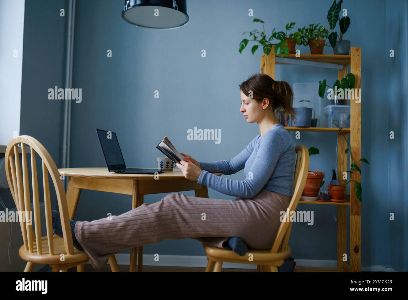 Cozy reading chair hi-res stock photography and images - Alamy