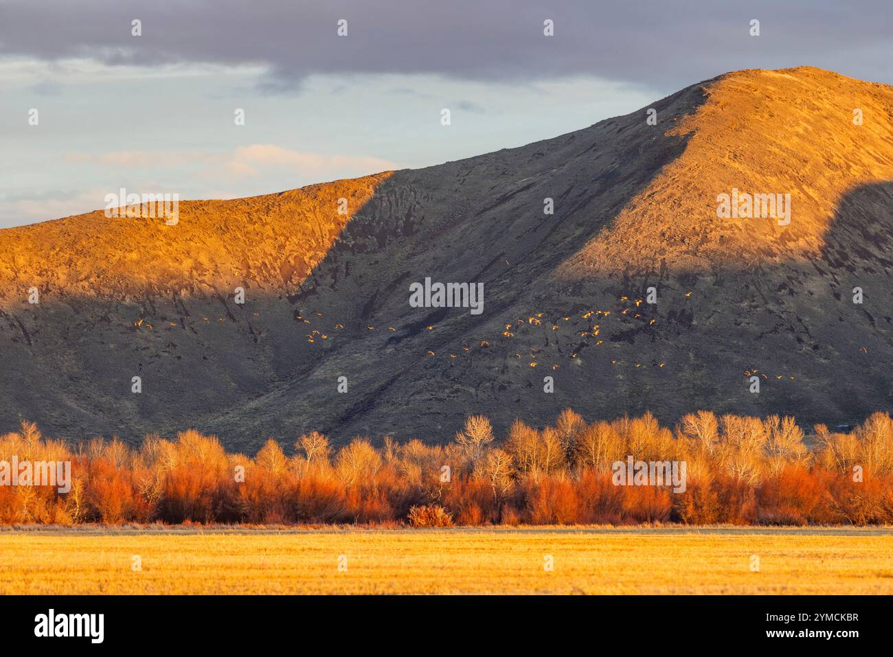 Autumn trees hills in rural hi-res stock photography and images - Alamy