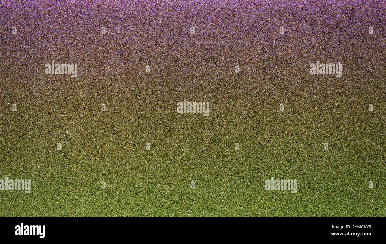 Pwd Strip Texture Blank grained film strip texture background with heavy grain, dust and ...