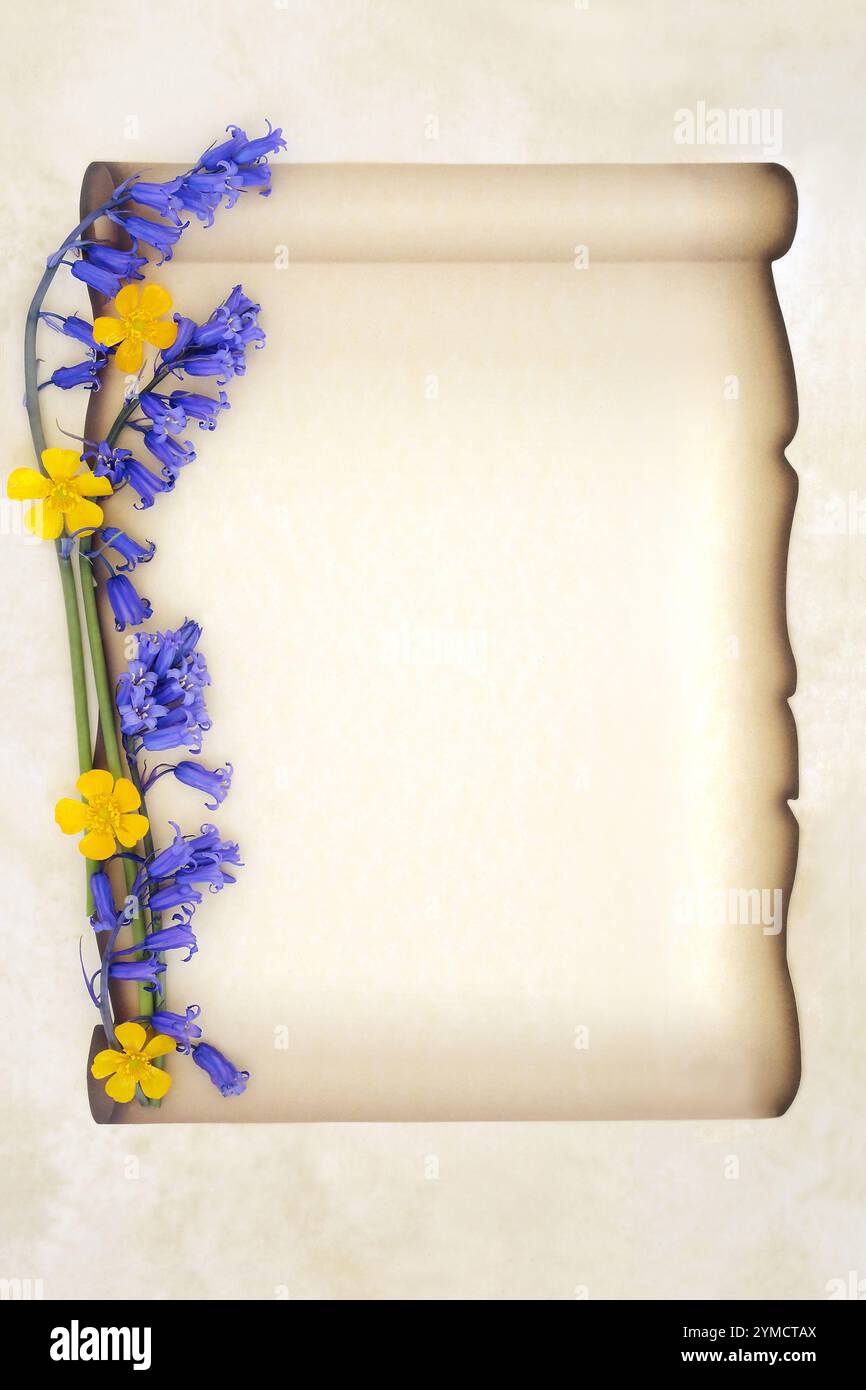 Spring bluebell buttercup wildflower scroll border on parchment paper ...