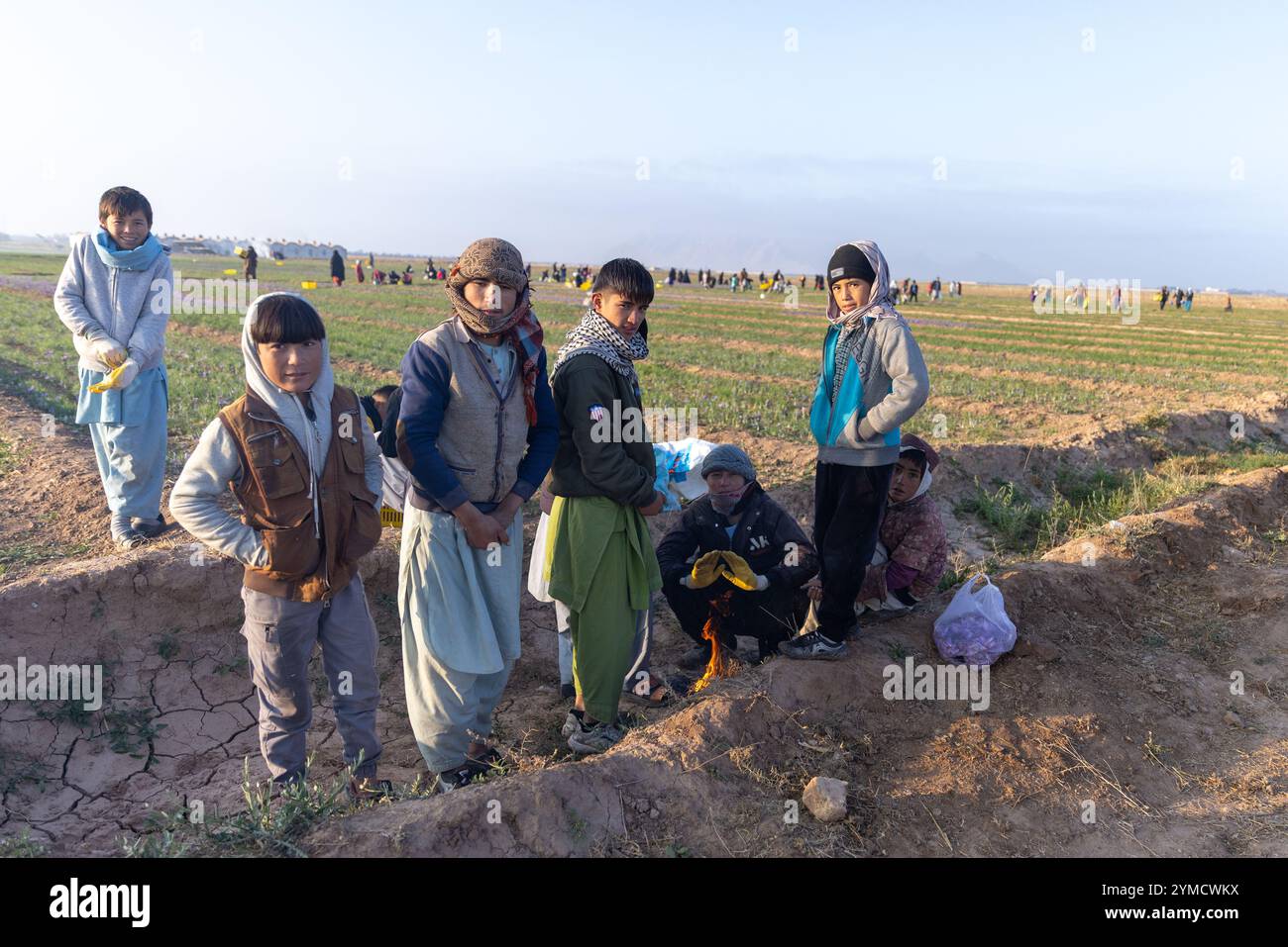 Herat, one of Afghanistan's leading agricultural provinces, has ...