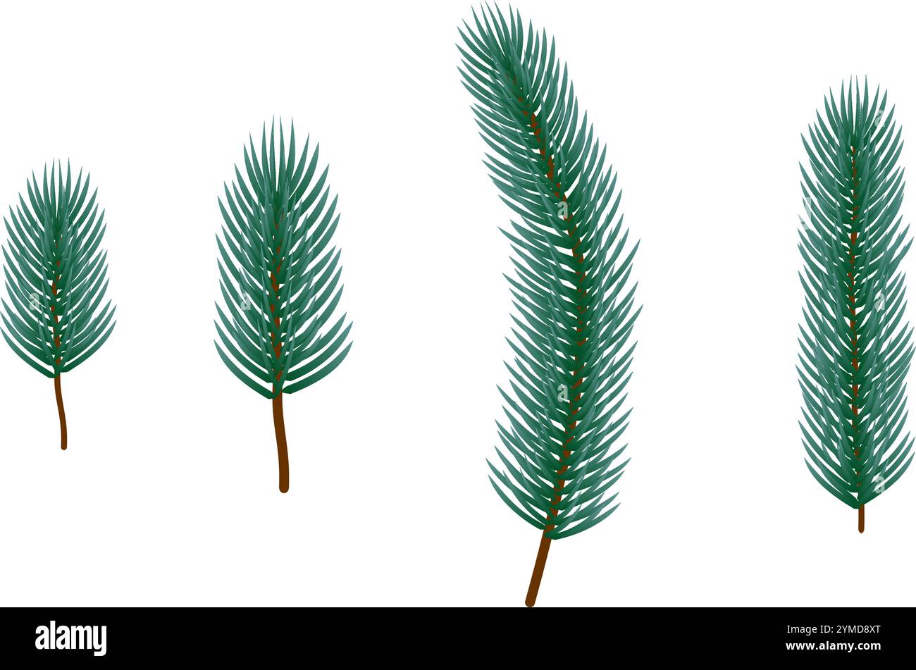 fir tree branch set vector illustration isolated on white background. Stock Vector