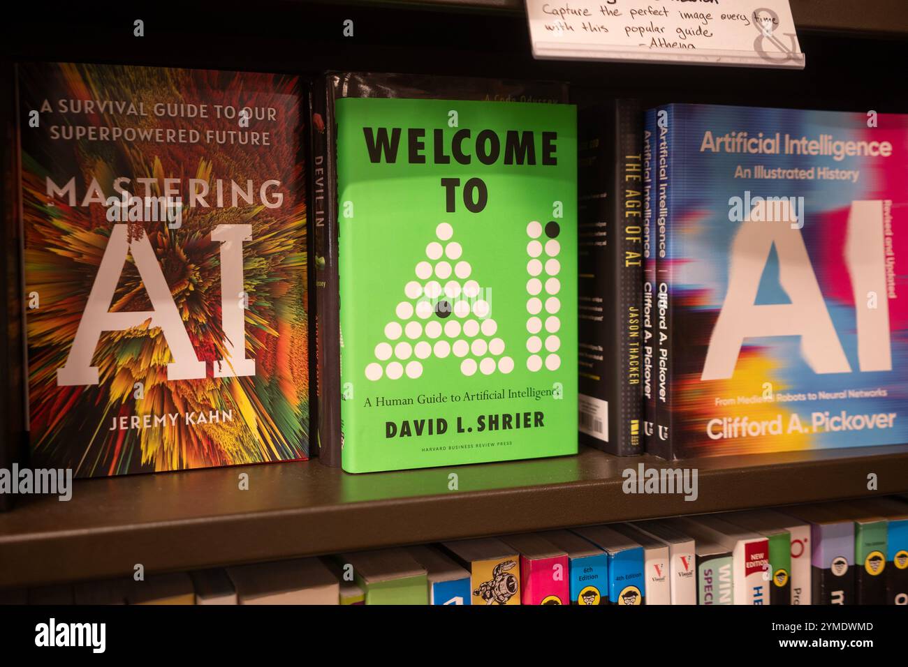 Various books about AI including MASTERING AI: A SURVIVAL GUIDE TO OUR SUPERPOWERED FUTURE, WELCOME TO AI, and AI: AN ILLUSTRATED HISTORY are seen on... Stock Photo