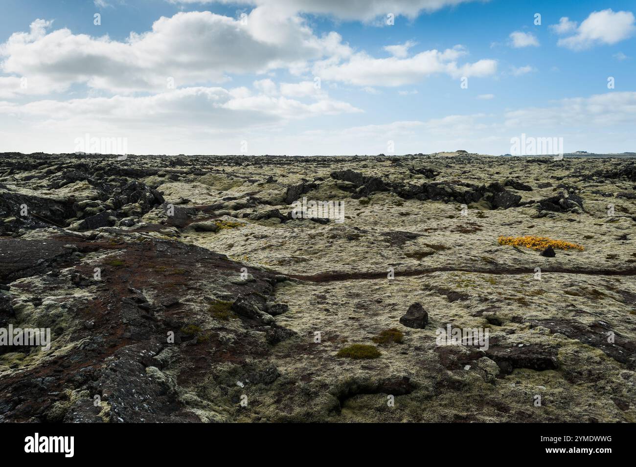 Reykjanes Peninsula, Iceland, Europe Stock Photo - Alamy