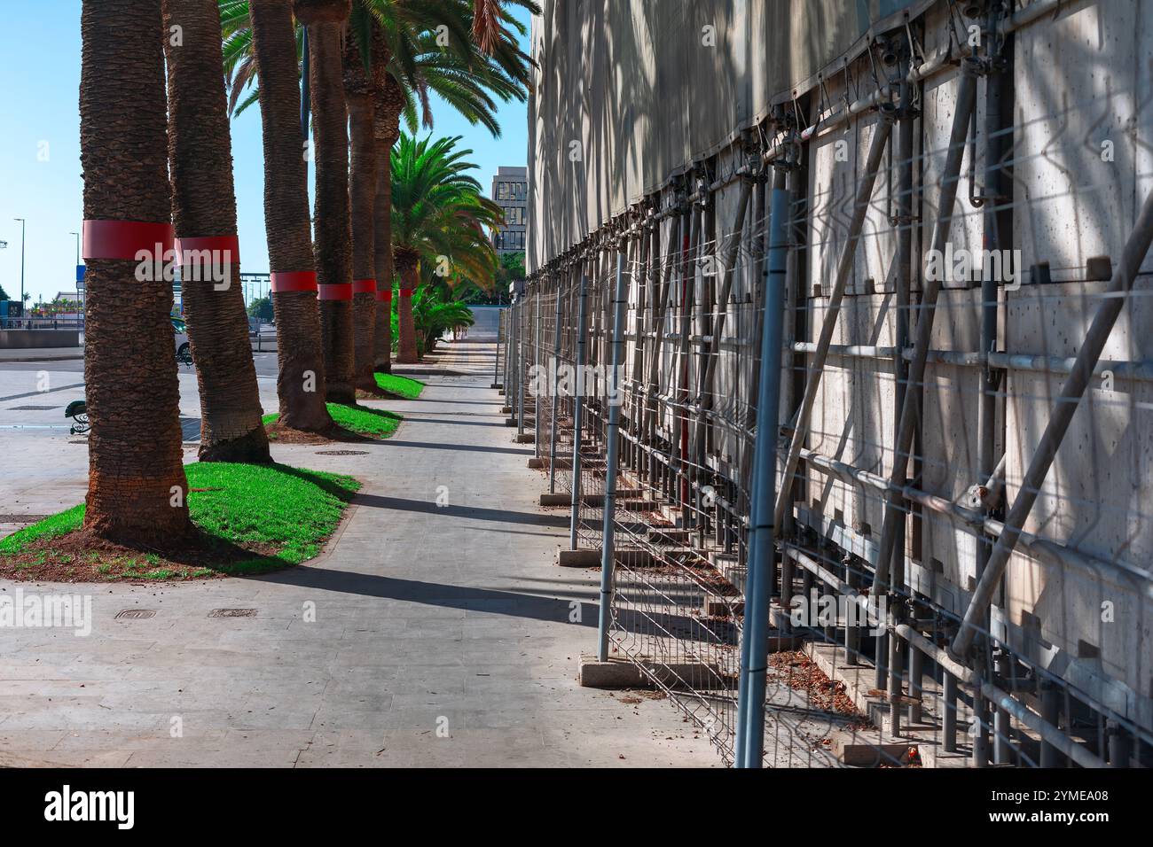 Left Side Walk Sidewalk lined with palm trees on the left and a building under ...