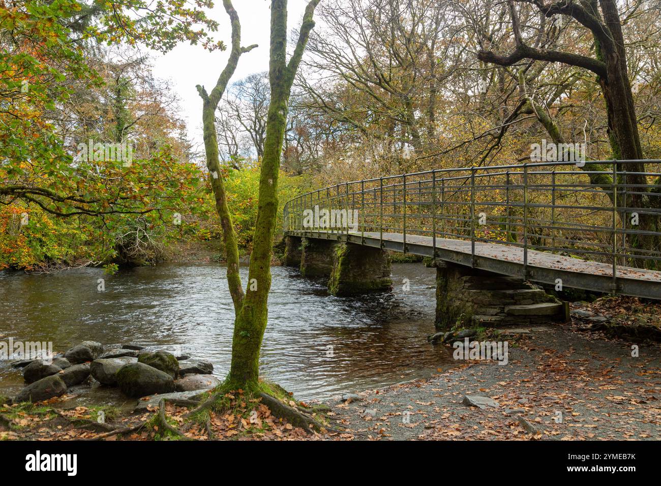 River Rothery White moss woods grasmere hi-res stock photography and images - Alamy