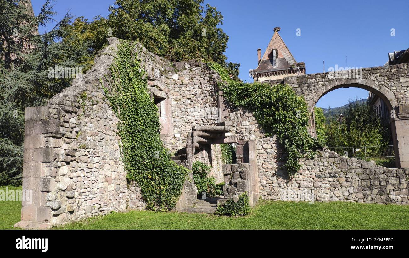 Munster Abbey, Alsace, France, Europe Stock Photo