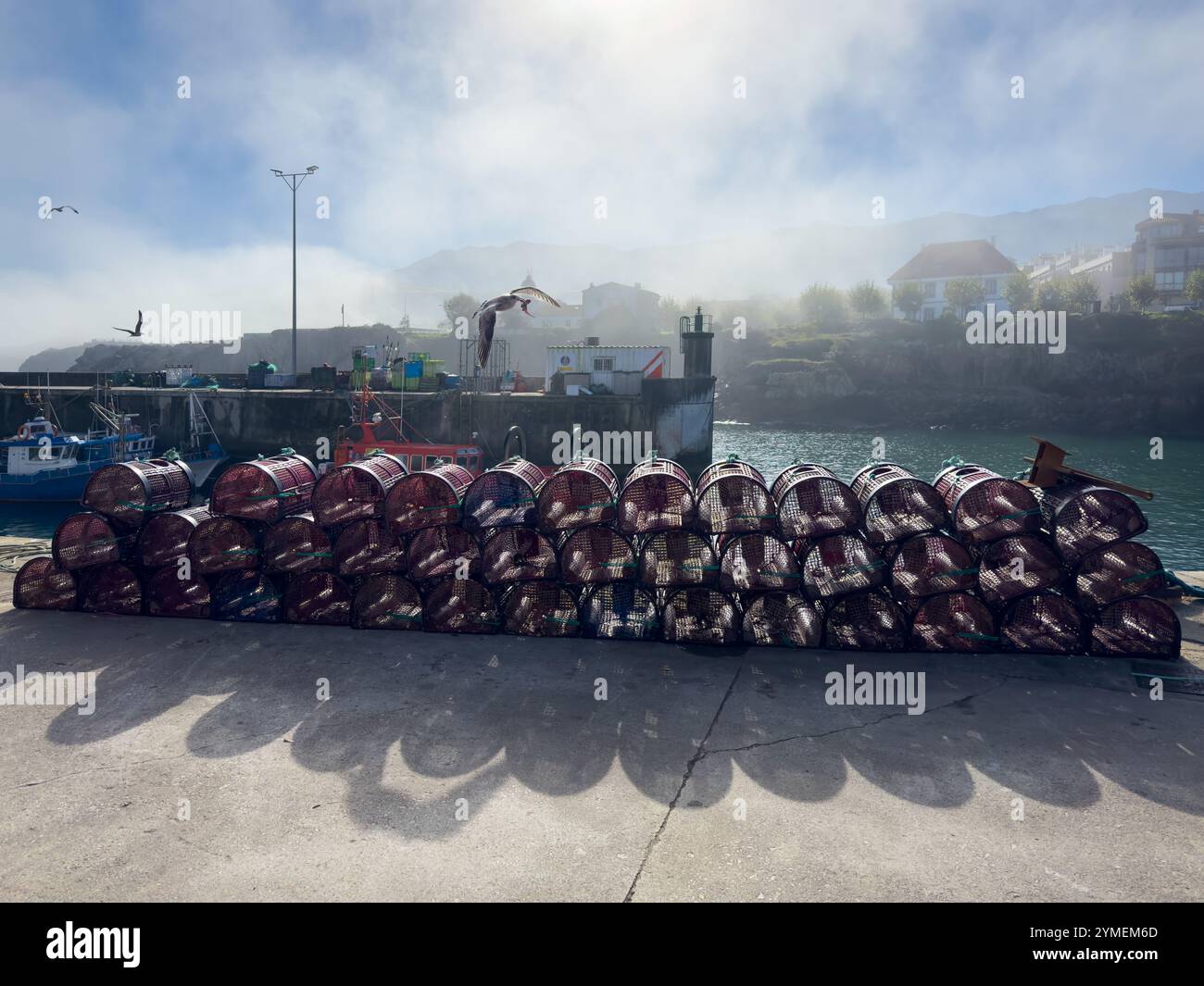 A seagull flying away with its prize flies over the stacked shellfish traps on a misty day in the port of Llanes, Asturias, Spain - Smartphone Captured Stock Image