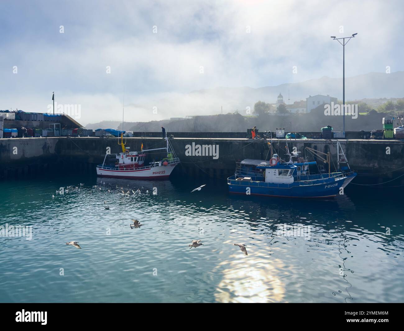 Seagulls flying near fishing boats moored in the port of Llanes, Asturias, Spain - Smartphone Captured Stock Image
