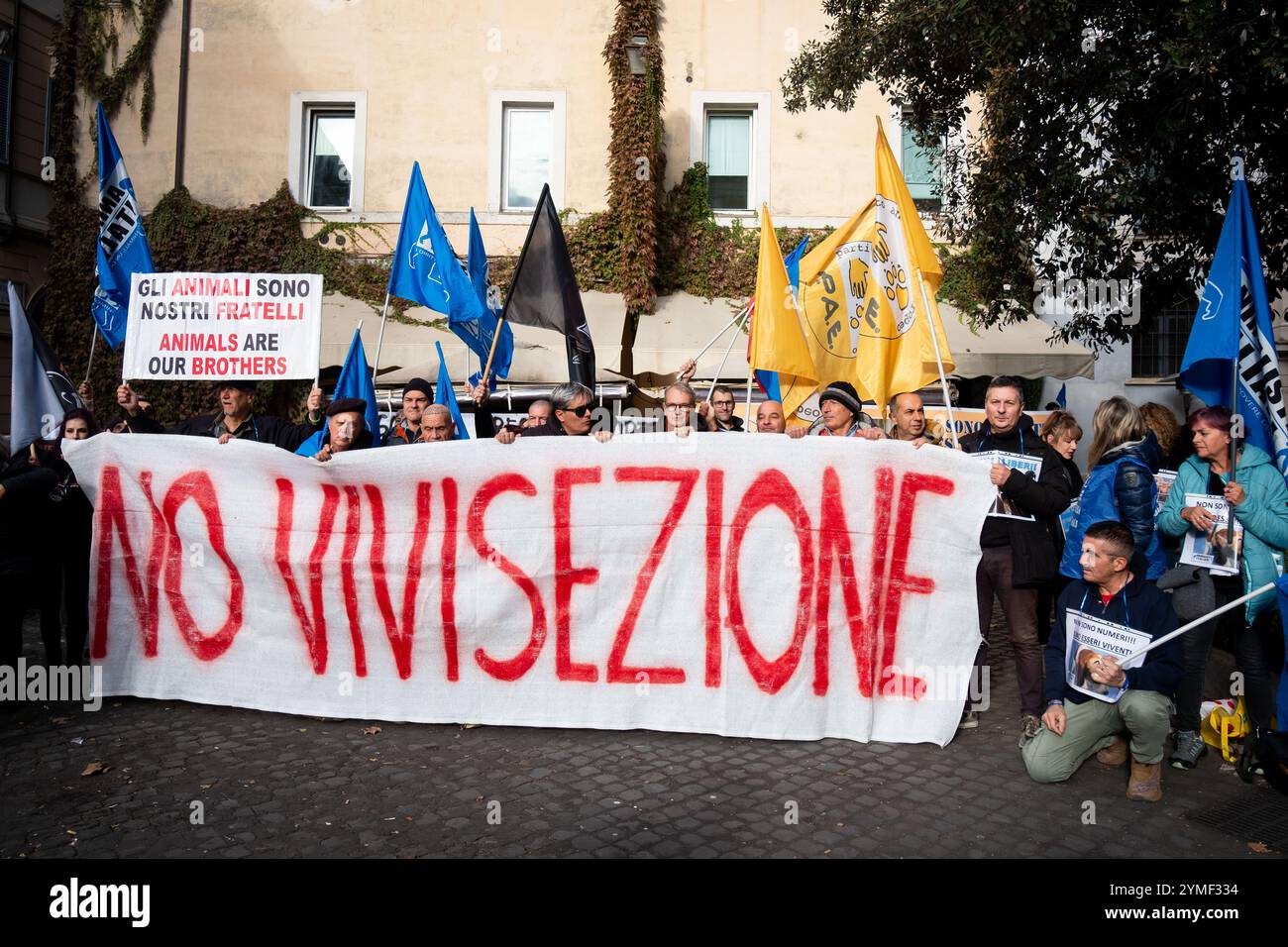 Rome, Rm, Italy. 21st Nov, 2024. Activists gather in front of the Council of State to demand the halt of toxicology experiments on 1,600 beagles by the pharmaceutical company Aptuit and the permanent suspension of all animal testing. ''No vivisection'' is written on the banner. (Credit Image: © Marco Di Gianvito/ZUMA Press Wire) EDITORIAL USAGE ONLY! Not for Commercial USAGE! Stock Photo