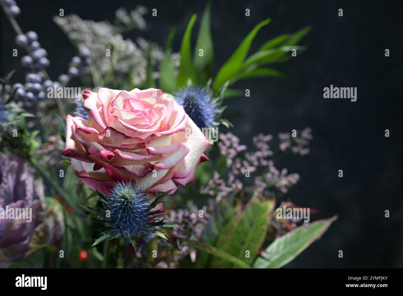 Pink-white rose blossom arranged with blue and purple flowers in a ...