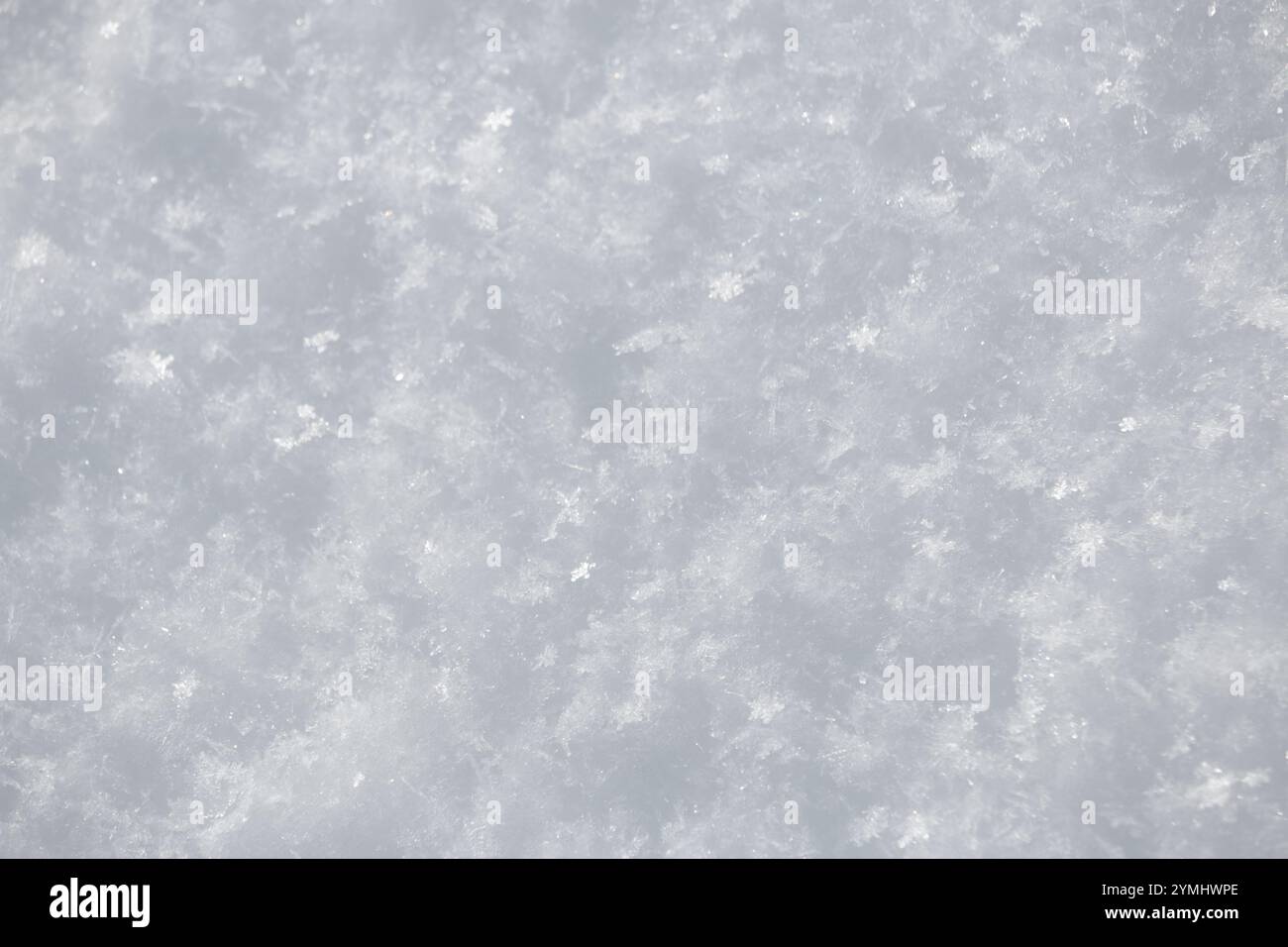 Close up of coarse grainy fresh white snow flake crystals surface in winter Stock Photo