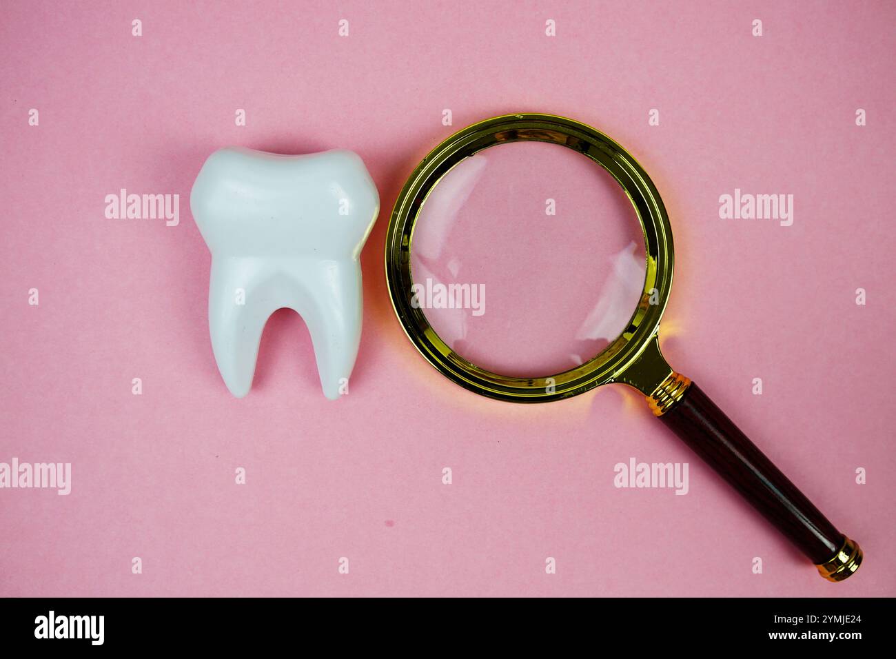 Magnifying glass with white tooth model Dental Health concept Stock ...
