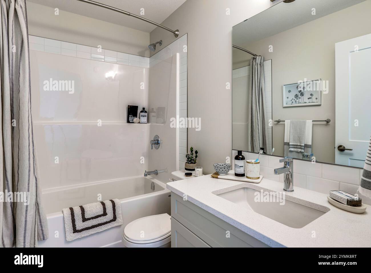 A bathroom with a white sink and a white toilet. There is a potted plant on the counter next to the sink Stock Photo