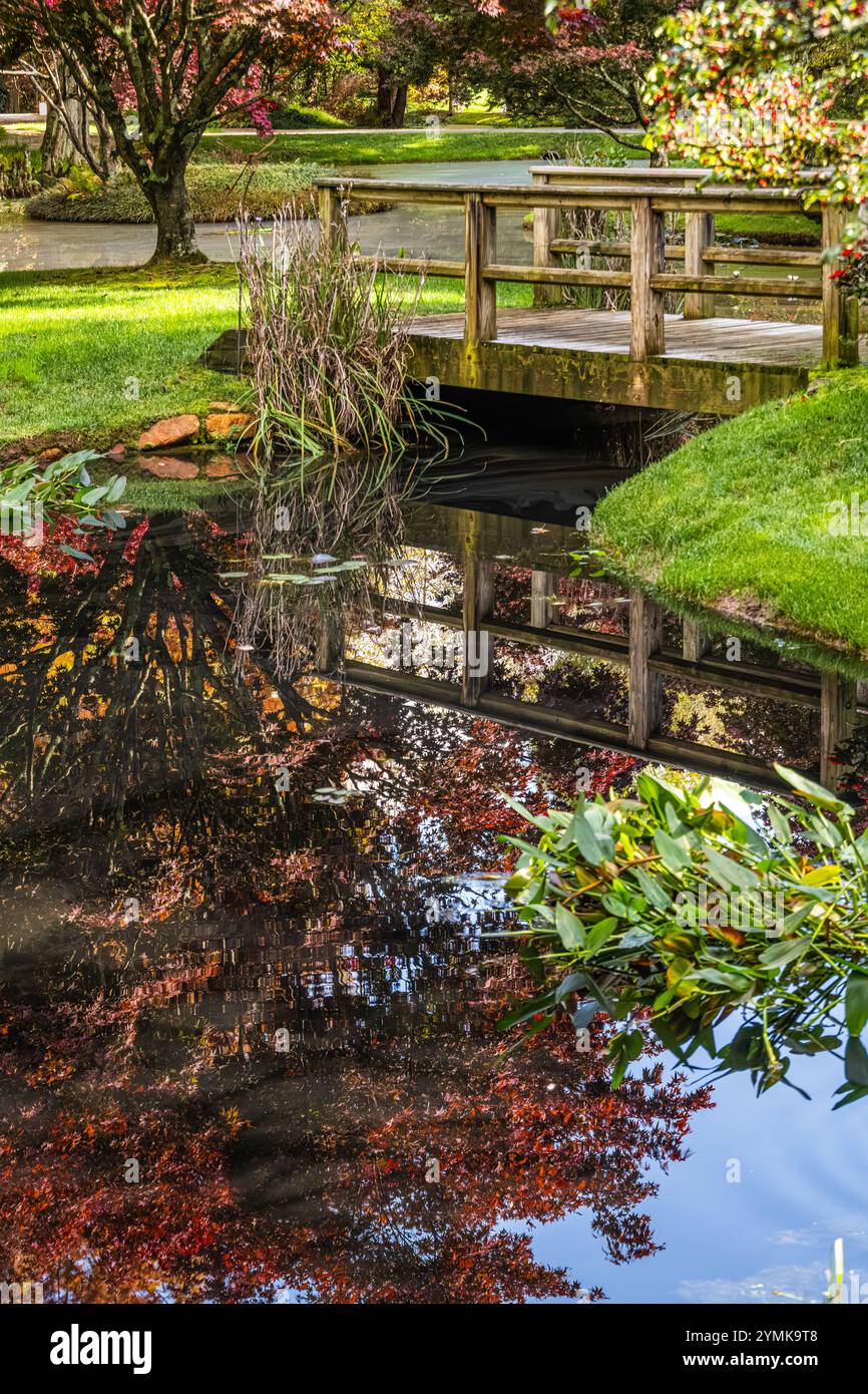 Gibbs gardens footbridge hi-res stock photography and images - Alamy