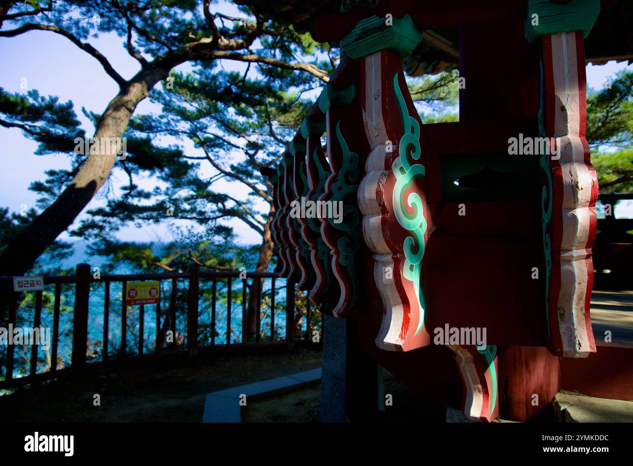 Yangyang County, South Korea - November 3, 2024: A close-up view of the ...