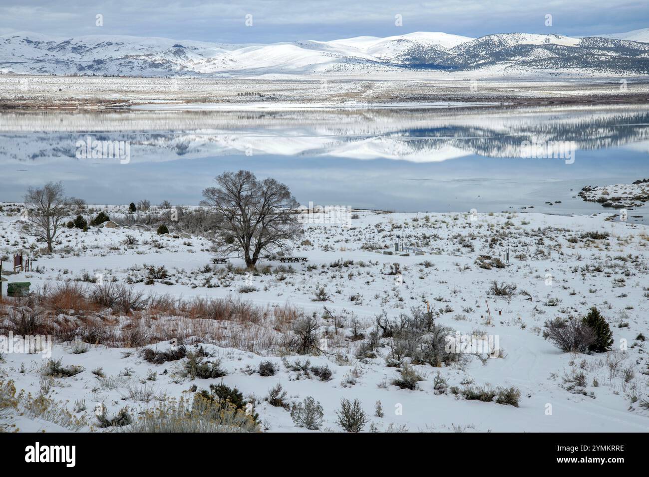 USA, California, Lee Vining, Mono Lake Stock Photo