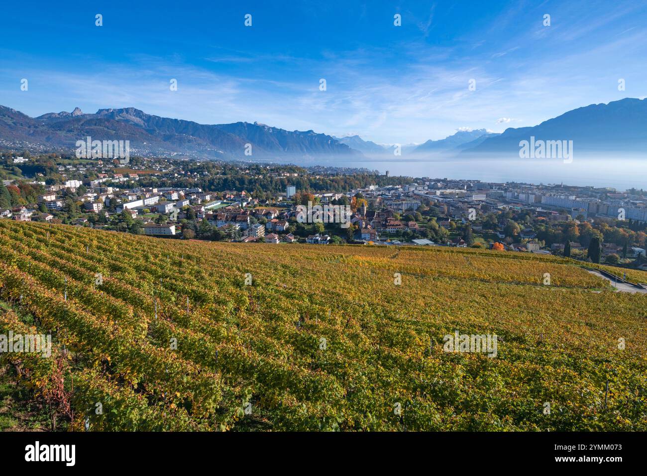 Suisse, Schweiz, Switzerland, Vaud, Waadt, Vevey, ville, Stadt, city, town, montagnes, Berge, mountains, vignoble, Weinberg, vineyard, Lac Léman, Genf Stock Photo