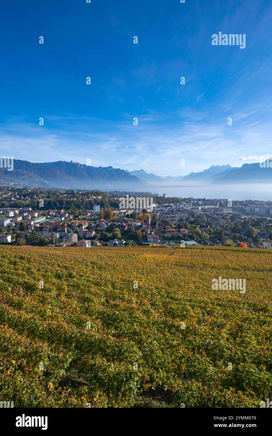 Suisse, Schweiz, Switzerland, Vaud, Waadt, Vevey, ville, Stadt, city, town, montagnes, Berge, mountains, vignoble, Weinberg, vineyard, Lac Léman, Genf Stock Photo