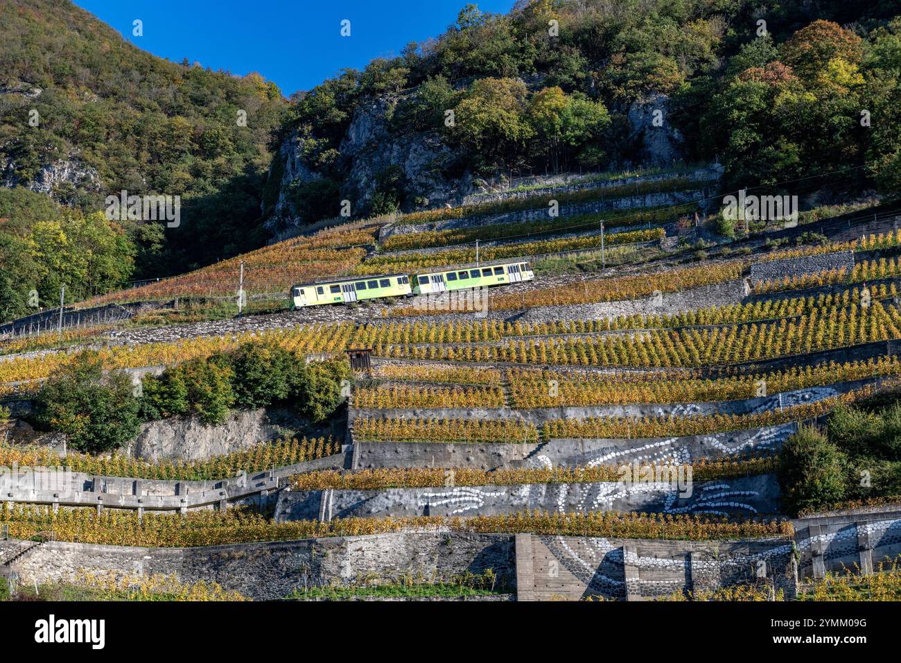 Suisse, Schweiz, Switzerland, Vaud, Waadt, Canton de Vaud, Kanton Waadt, Aigle, ville, Stadt, city, vignoble, Weinberg, vineyard, Aigle les Murailles, Stock Photo