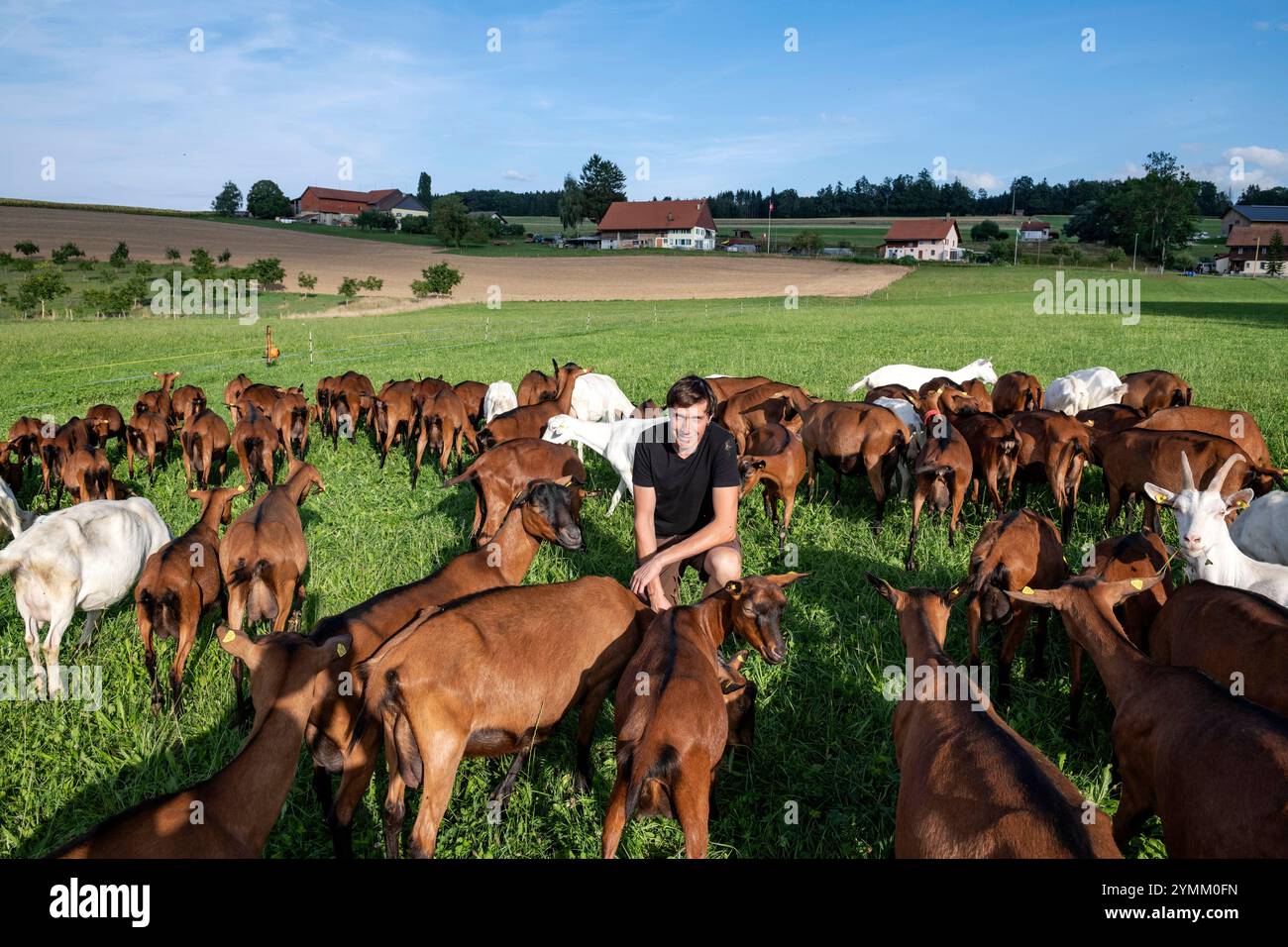 jobs in der landwirtschaft schweiz