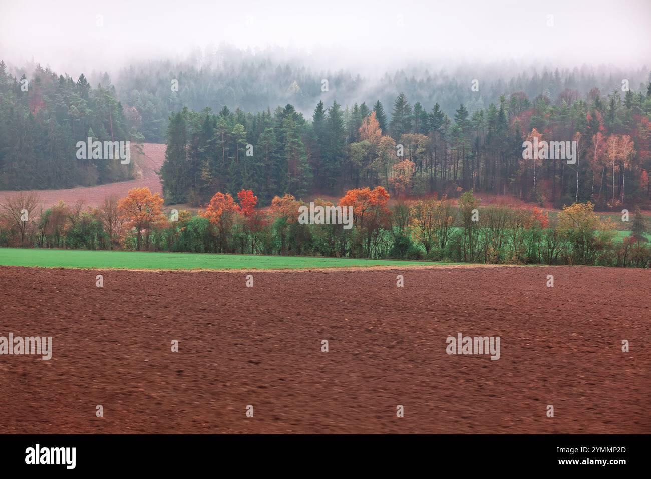 Fog strip hi-res stock photography and images - Alamy
