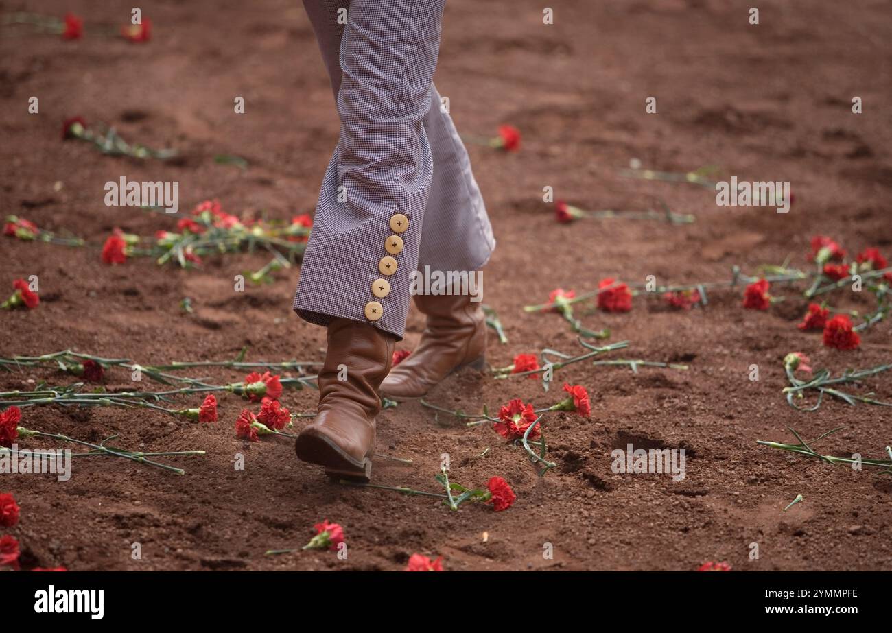 A bullfighter walks in the ring full of roses thrown by fans during a ...