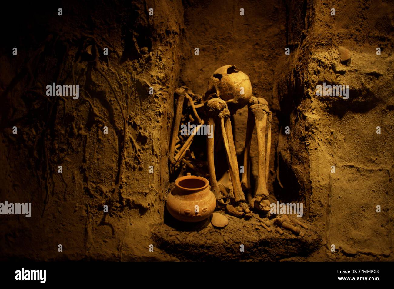 A burial of a person is displayed in the Mayan Underworld gallery, at the National Museum of Anthropology in Mexico City Stock Photo