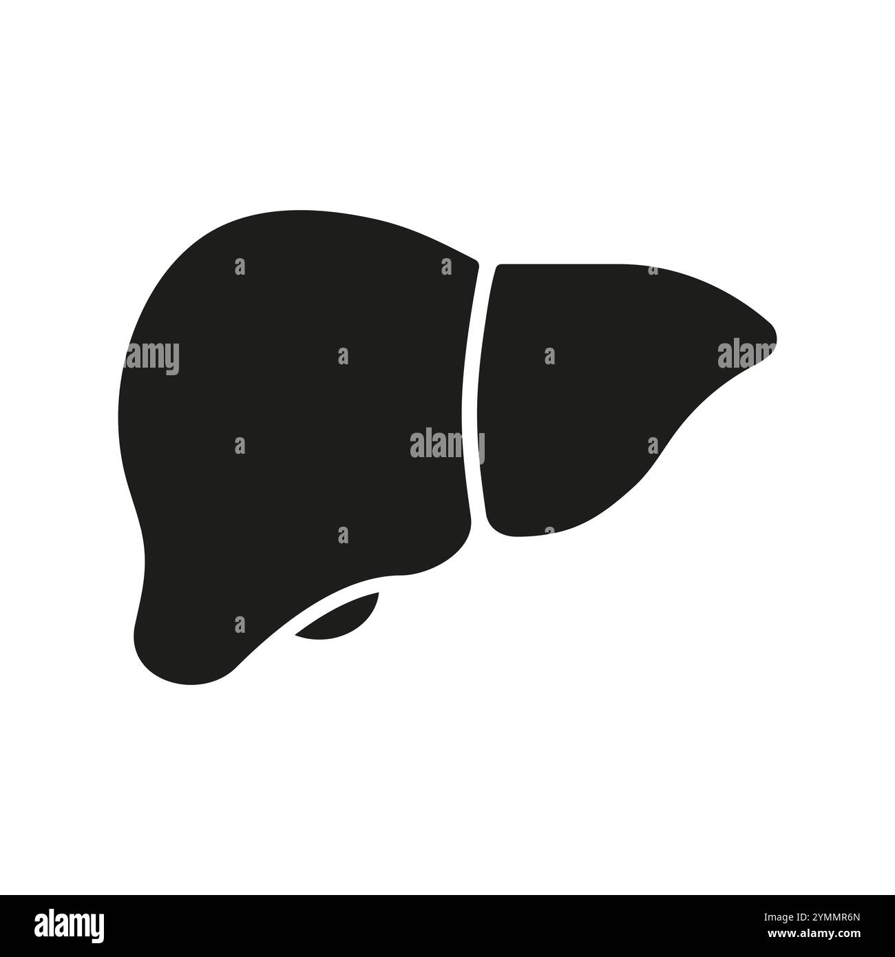 Human Liver for Anatomy and Biology Concept. Liver Silhouette Icon ...