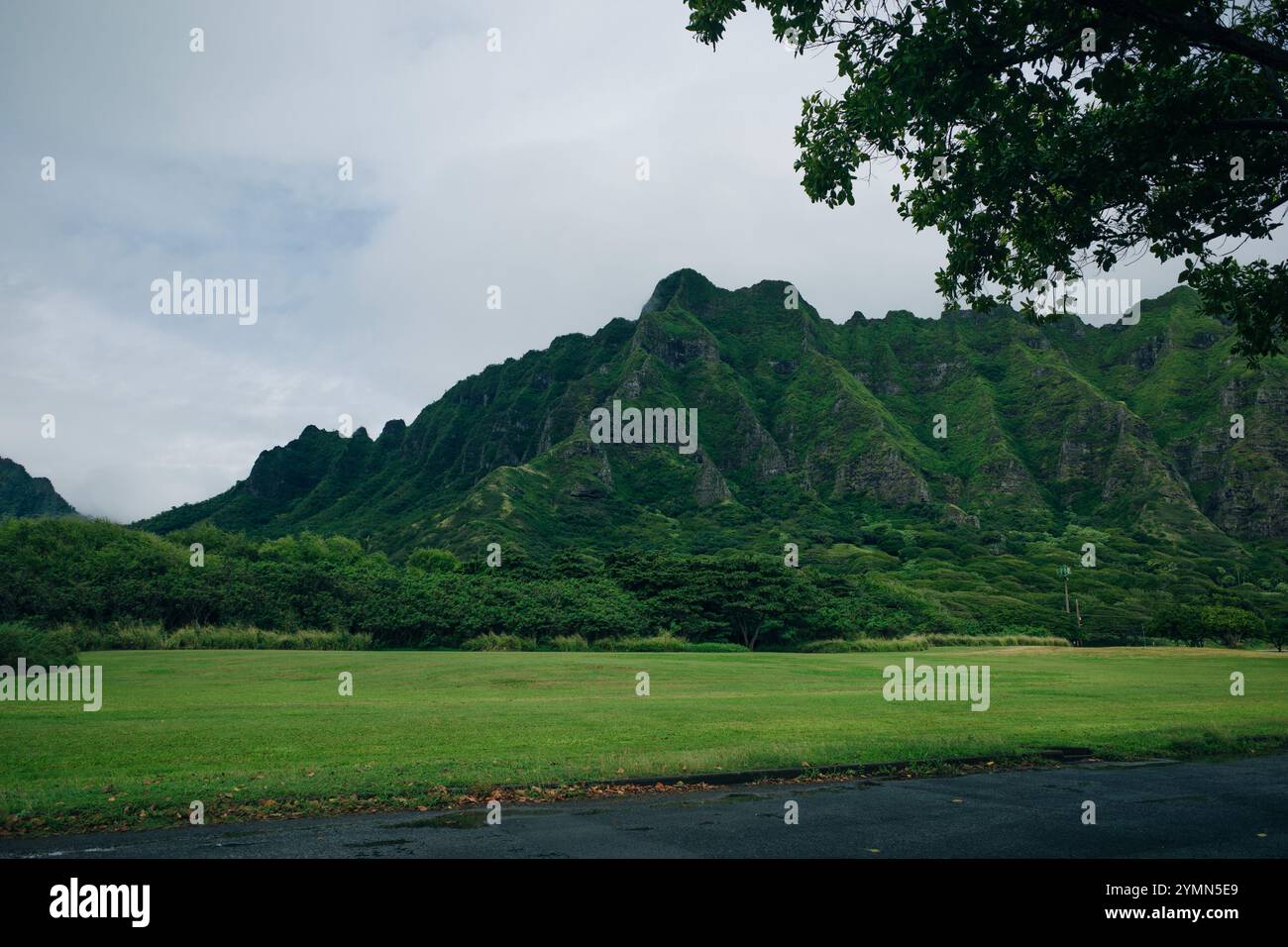 Photo tropical mountain range hi-res stock photography and images - Alamy