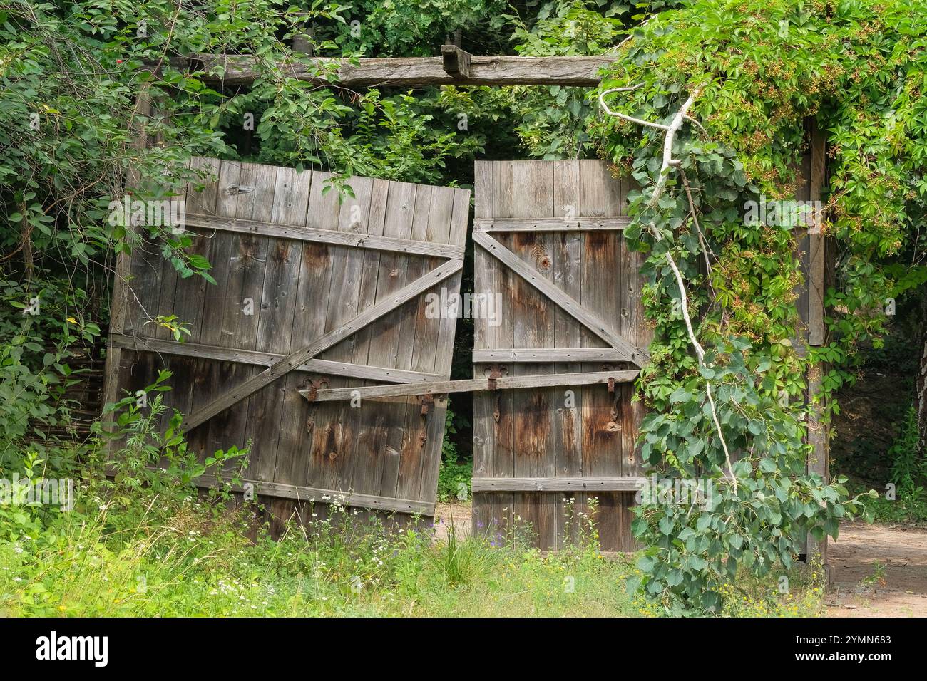 Old wooden gate in countryside. Traditional wooden farmhouse. Village ethnographic museum. Vintage exterior. Sunny day. Stock Photo