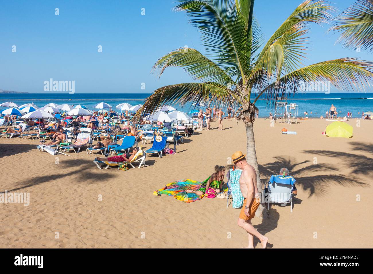 Gran Canaria, Canary Islands, Spain, 22nd November 2024. Tourists, mainly British and German, bask on the city beach in Las Palmas as unusually high November temperature reaches 32 degrees Celsius. Credit: Alan Dawson/Alamy Live News. Stock Photo