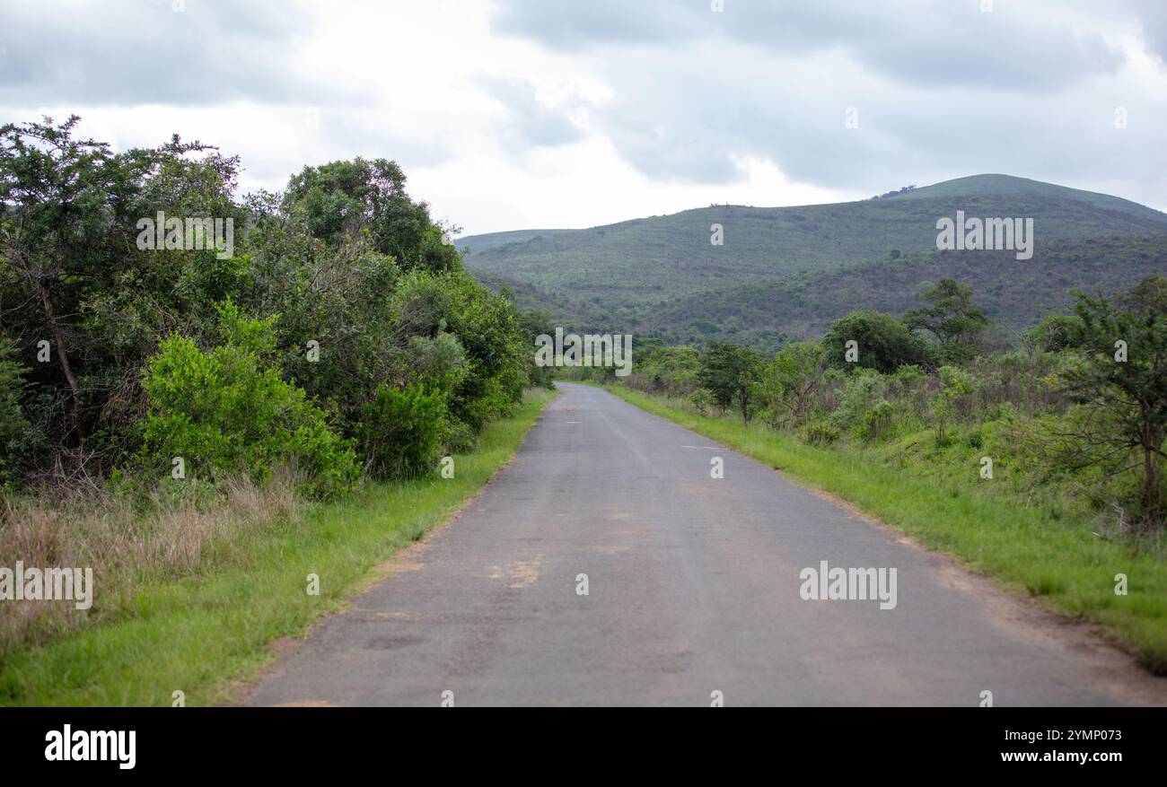 Contryside Rouds Highway in South African countryside. Asphalt road stretches straight ...