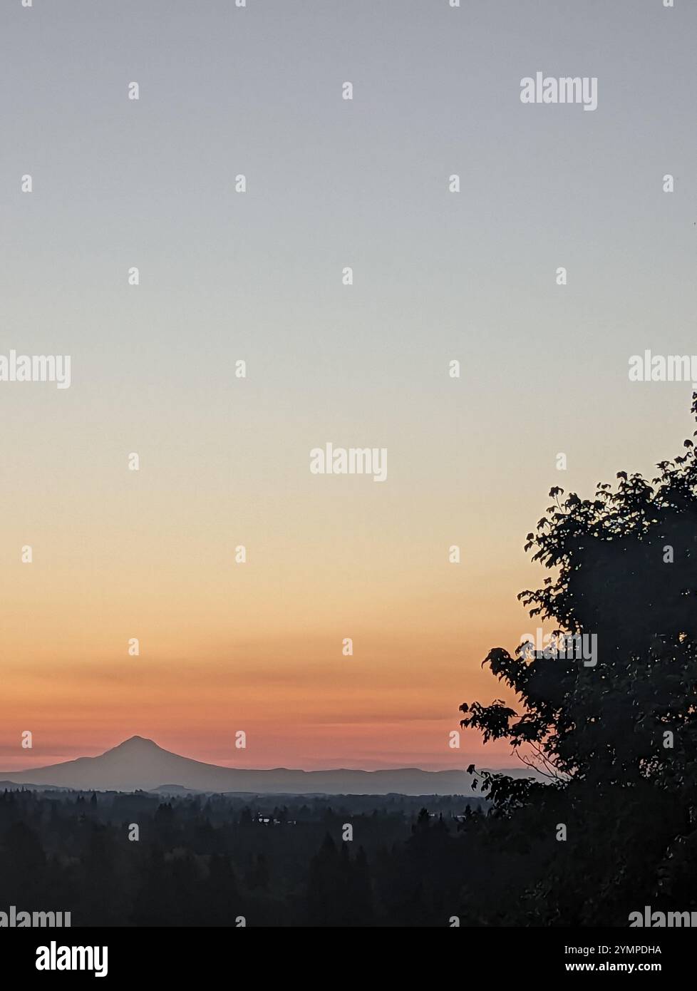 Tranquil Dawn - Smartphone Captured Stock Image