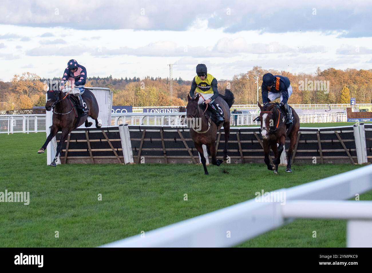 Ascot, Berkshrie, UK. 22nd November, 2024. AUCUNRISQUE ridden by jockey Freddie Gordon (yellow silks) clears the last before winning The LK Bennett Autumn Collection Handicap Hurdle Race (Class 3). Owner Goodwin Racing Ltd, Trainer Chris Gordon, Winchester, Sponsor Equestrian Fencing & Timber Ltd, Goodwin Racing Ltd. Credit: Maureen McLean/Alamy Live News Stock Photo