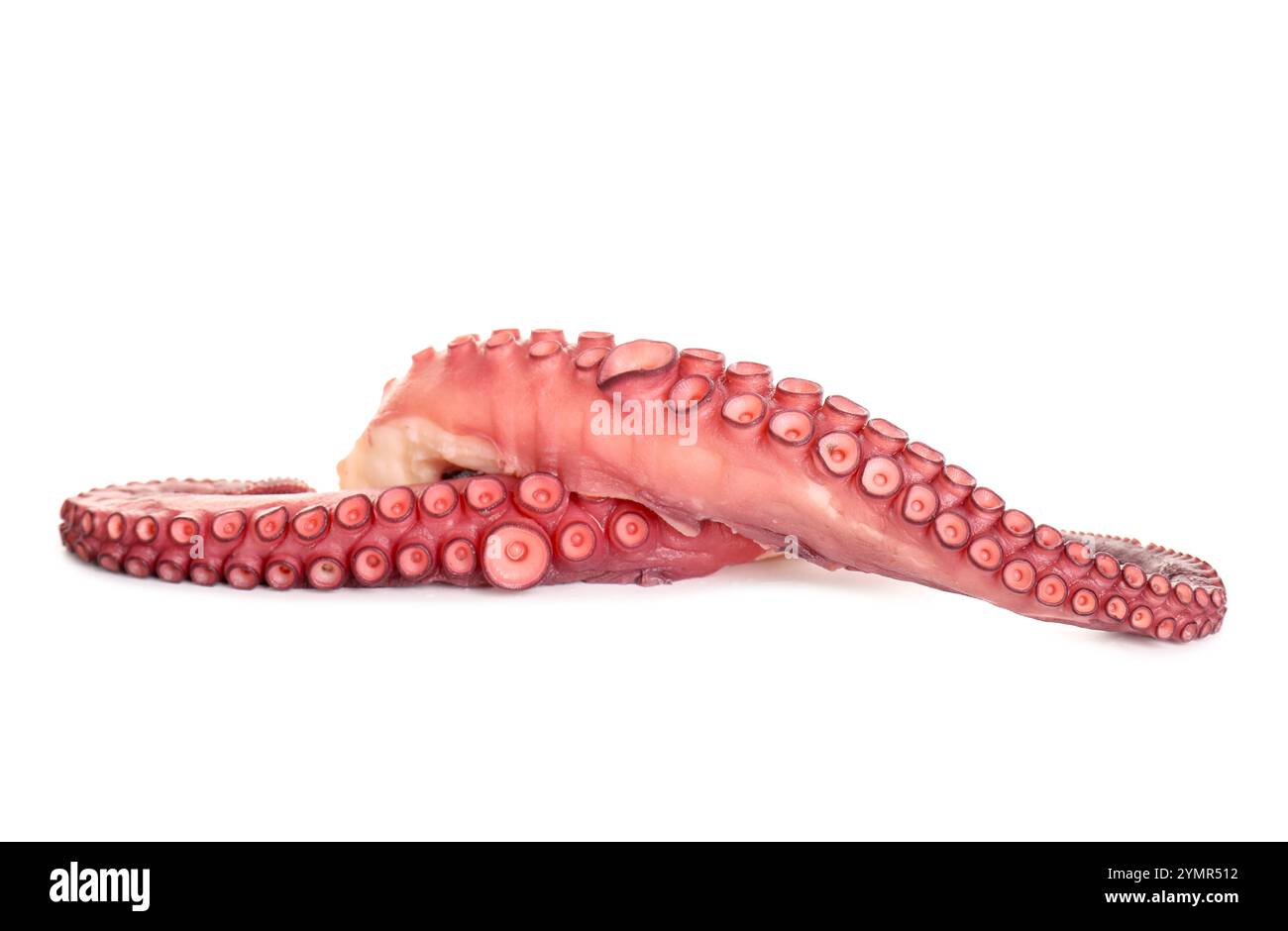 Two raw octopus tentacles isolated on white Stock Photo - Alamy