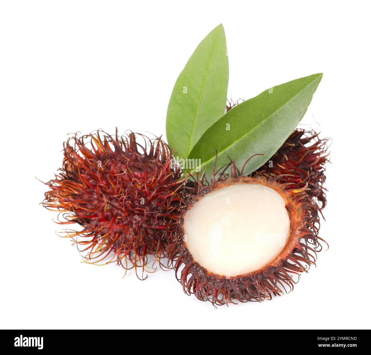 Rambutan leaves isolated on white hi-res stock photography and images ...