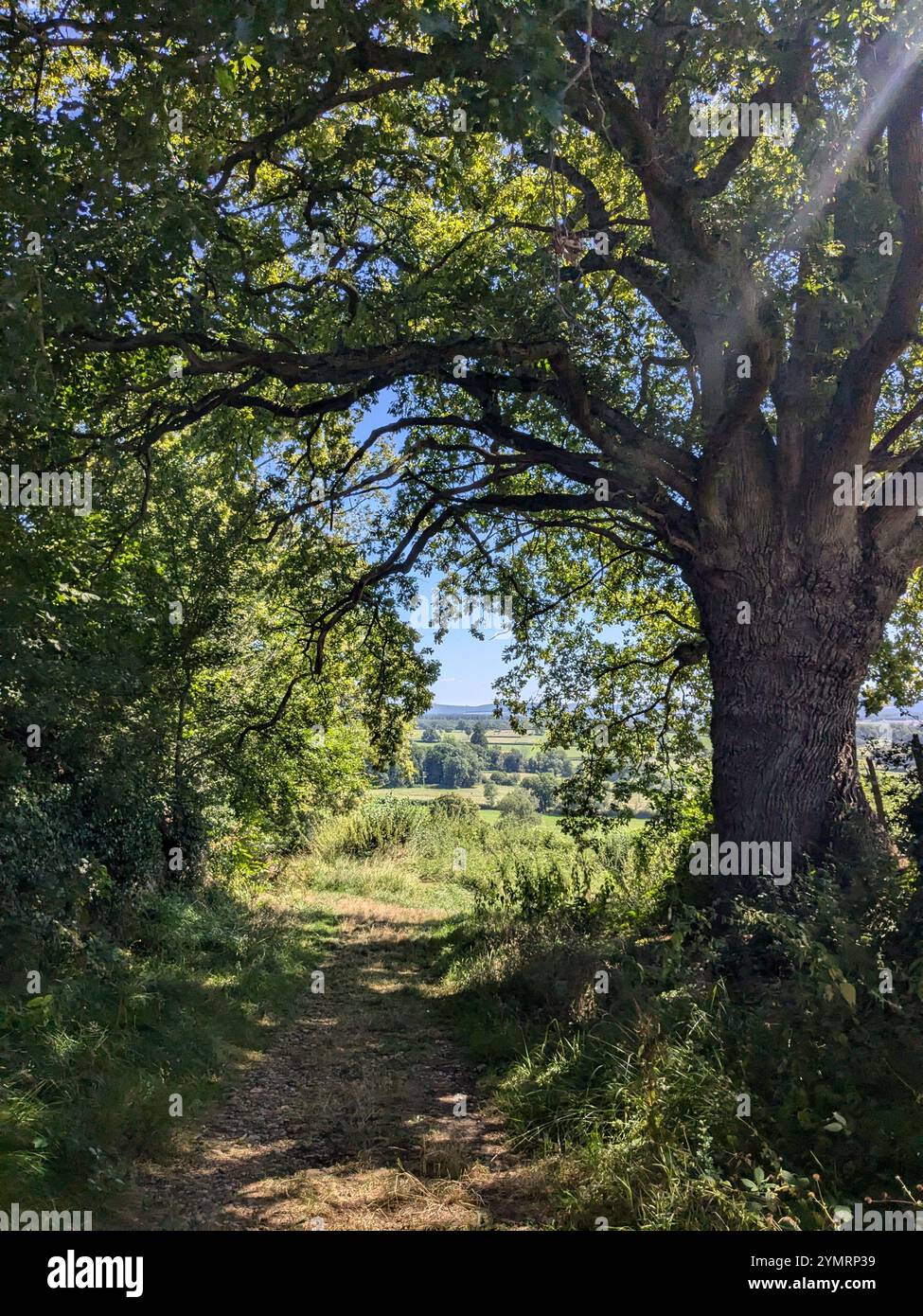 A walk in the south of france - Smartphone Captured Stock Image