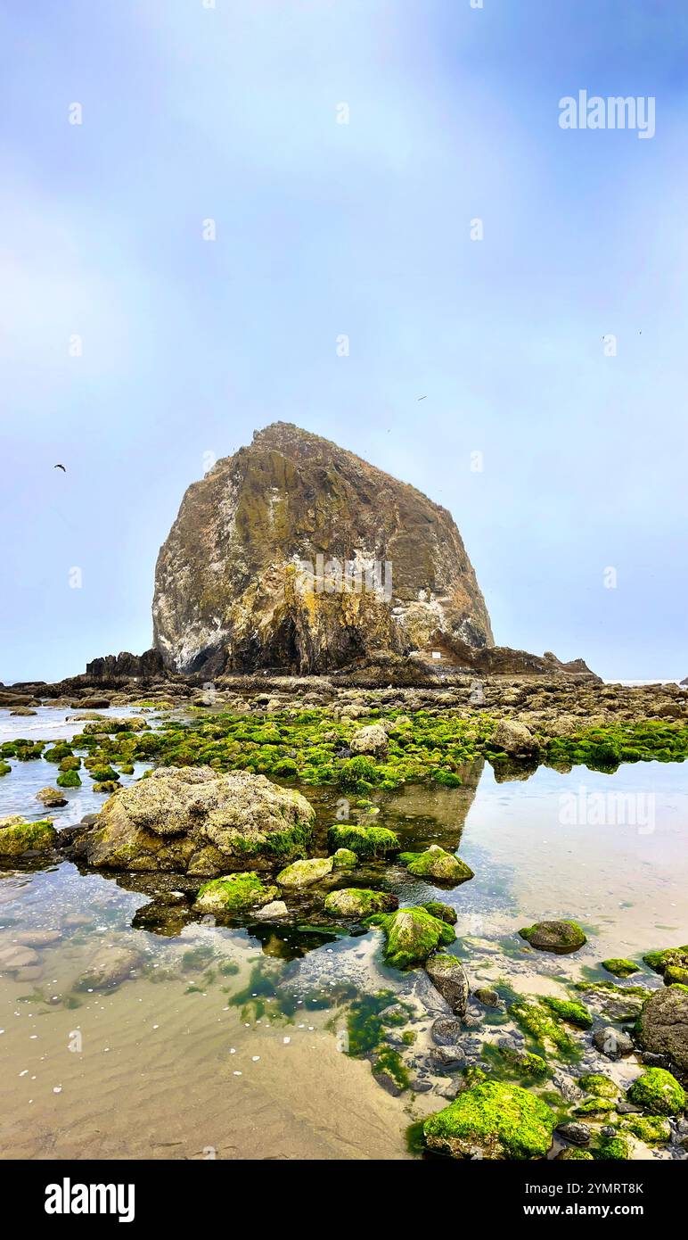 Haystack Rock in Cannon Beach Oregon - Smartphone Captured Stock Image