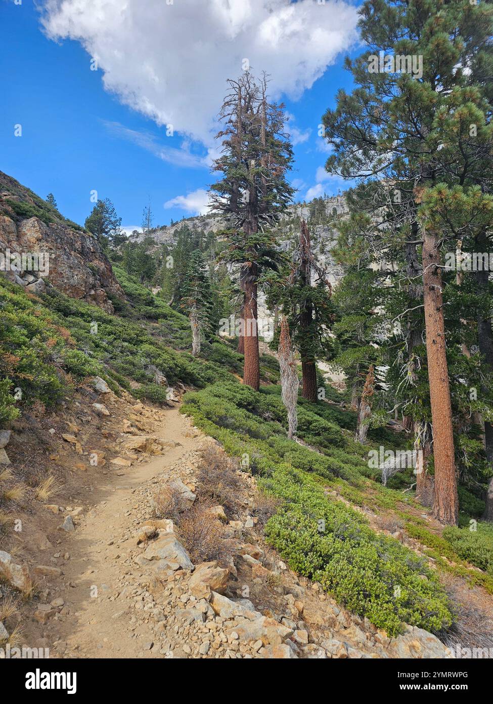 'Scenic mountain landscapes with hiking trails, lush greenery, serene lake views, and a traveler enjoying nature. Perfect for outdoor adventure and tr - Smartphone Captured Stock Image