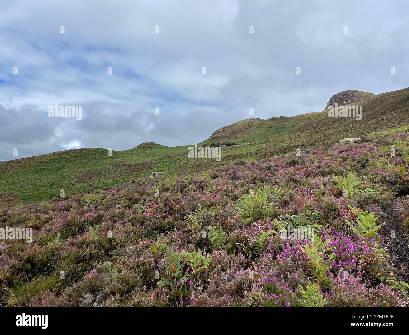 Holy isle hi-res stock photography and images - Alamy