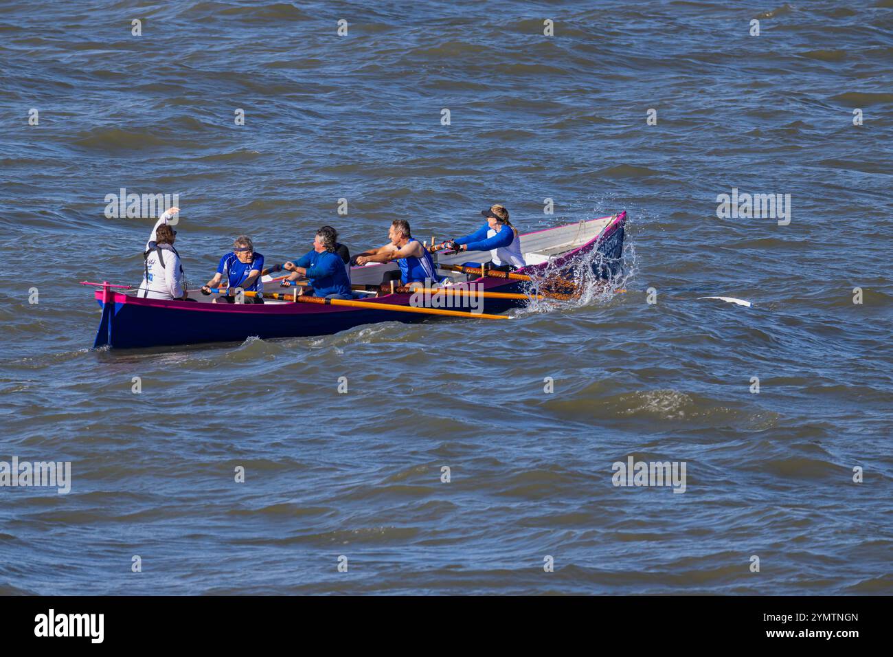 Pilot gig racing on the Severn Estuary with rough seas Stock Photo - Alamy